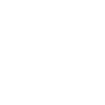 DNMO Logo Icon White